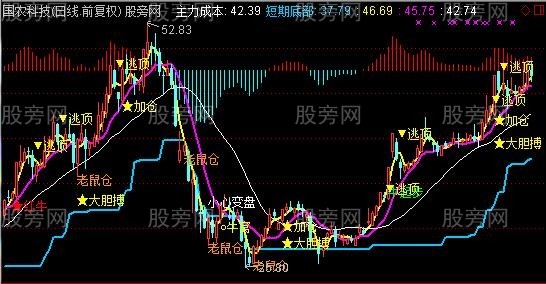 通达信红牛精选主图指标公式