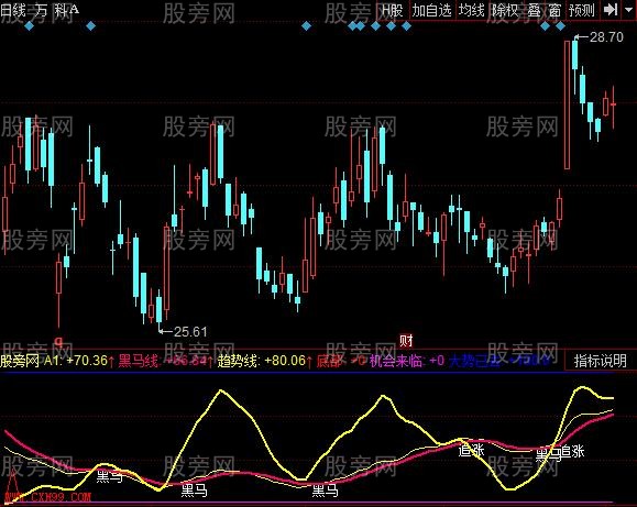 同花顺黑马大哥指标公式