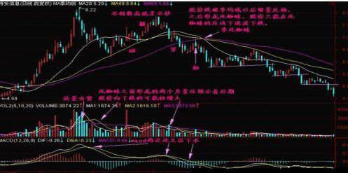 老股民总结金蜘蛛运用战法