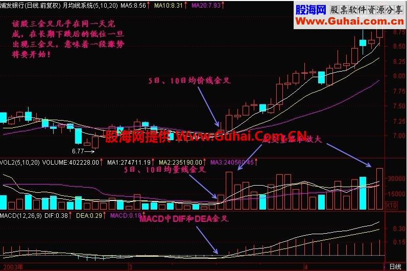 新生300天图解教程 第46节：三金叉见底