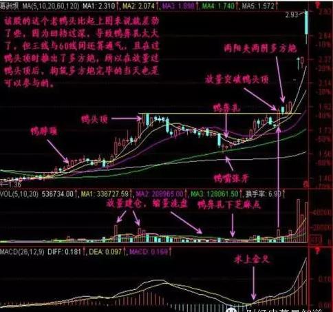 老鸭头战法之精髓